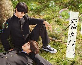 山东川畅网站怎么优化