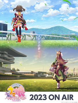 徐州seo优化哪家好